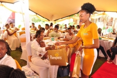 Baby Milestones Event 2017