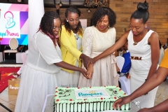 Baby Milestones Event 2017