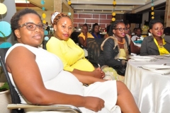 PREGNANT MUMS LUNCHEON
