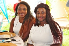 NEW PAMPERS PREMIUM CARE LAUNCH 2019