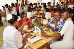 NEW PAMPERS PREMIUM CARE LAUNCH 2019