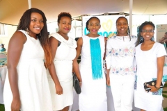 NEW PAMPERS PREMIUM CARE LAUNCH 2019