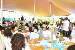NEW PAMPERS PREMIUM CARE LAUNCH 2019
