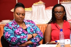 significance-event-50