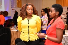 significance-event-61