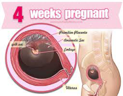 Week 4
