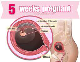 Week 5