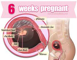 Week 6
