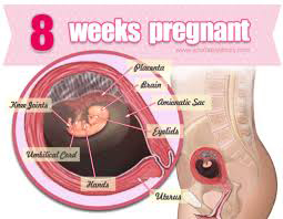 Week 8