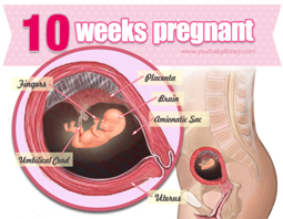 Week 10