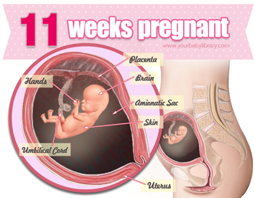 Week 11