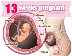 Week 13