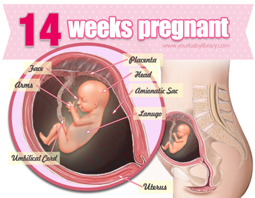 Week 14