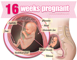 Week 16