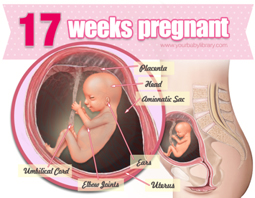 Week 17