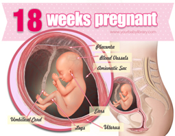 Week 18