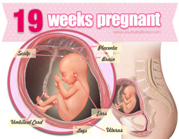 Week 19