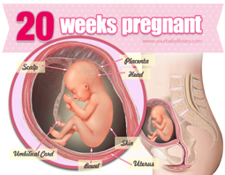 Week 20