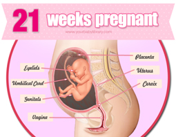 Week 21