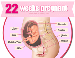 Week 22