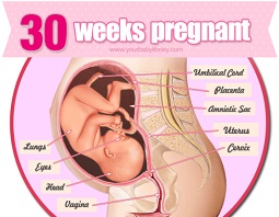 Week 30