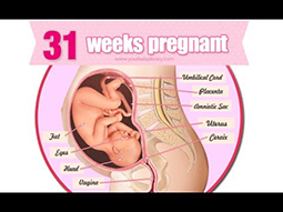 Week 31