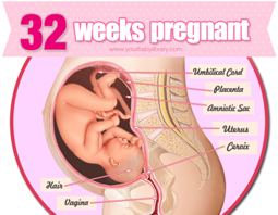 Week 32