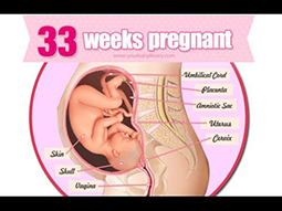 Week 33