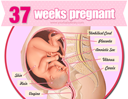 Week 37