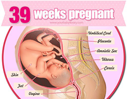 Week 39