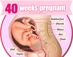 Week 40
