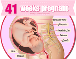 Week 41