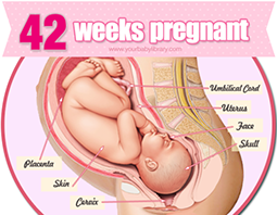 Week 42
