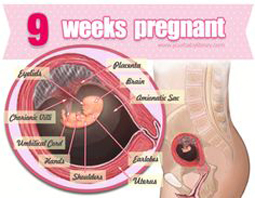 Week 9